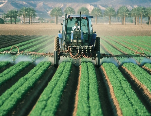 Quali sono le aree sensibili e esenti dai pesticidi? La risposta della Commissione Europea
