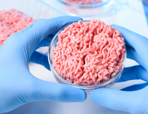 La carne sintetica arriverà sul nostro piatto?