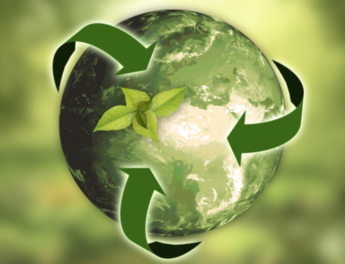 Danone Italia annuncia il suo manifesto per la sostenibilità