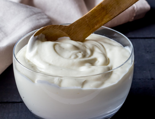Colture starter dei formaggi: lo yogurt