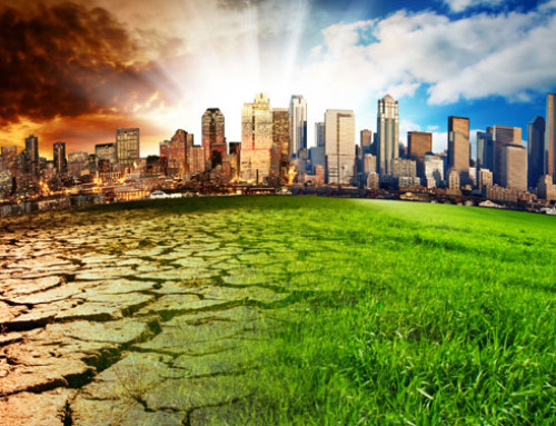 Cambiamenti climatici: 900 mln di danni all’agricoltura solo nel 2022. Il Focus di Censis Confcooperative
