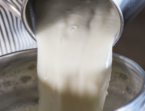 La situazione del mercato del latte: il report del Milk Market Observatory di settembre 2022