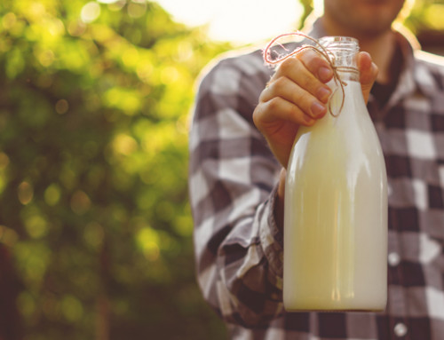 Il latte crudo: tutto quello che c’è da sapere