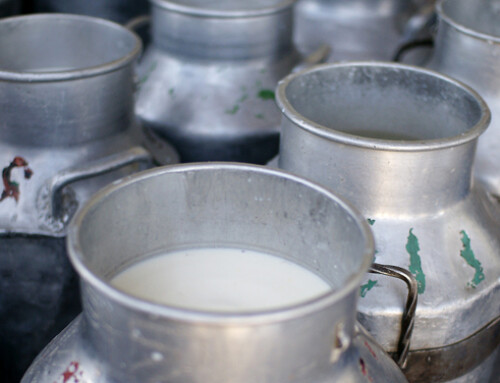 All’insegna della stabilità il prezzo medio del latte bovino in Italia e in UE