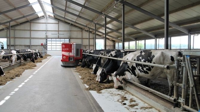 Como o setor de gado leiteiro evoluiu ao longo do tempo?  – Ruminantia – Revista web do mundo dos Ruminantes