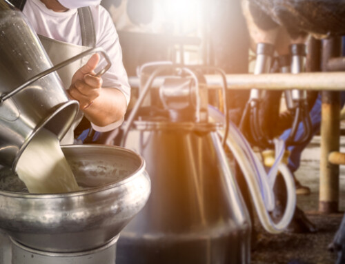 Italatte: accordo sul prezzo del latte a 57,5 cent/litro in Lombardia
