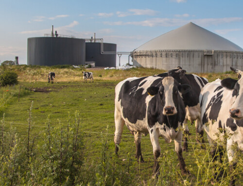 I vantaggi offerti dai piccoli impianti di biogas: facciamo il punto alle Fiere Zootecniche Internazionali di Cremona