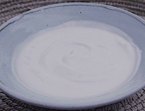 Vi raccontiamo i latti fermentati: la tradizione centenaria sarda ci rivela il Gioddu