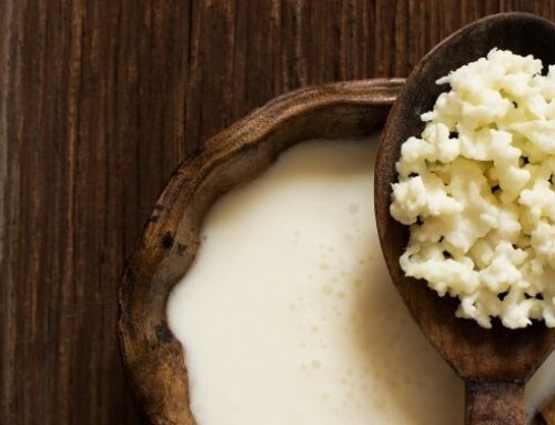 Vi raccontiamo i latti fermentati: il kefir