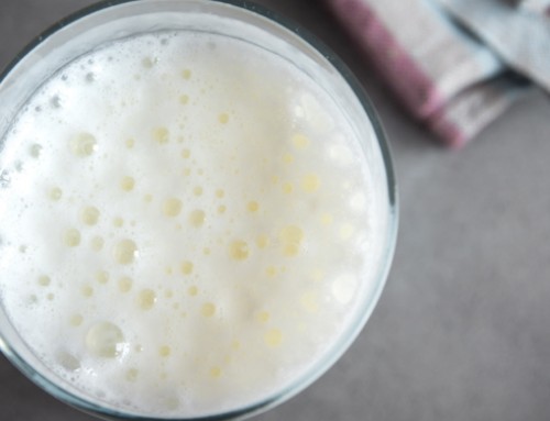 Vi raccontiamo i latti fermentati: i probiotici nella produzione