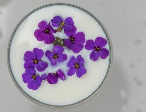 Il latte fermentato: caratteristiche, proprietà e differenze