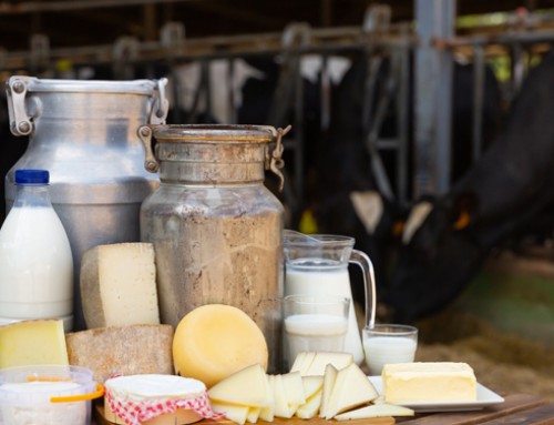 Latte e prodotti lattiero-caseari: come influiscono sul rischio cardiovascolare?