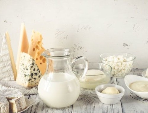 Latte, yogurt e formaggi sono molto di più della somma dei loro componenti. I focus di IDF sull’effetto matrice