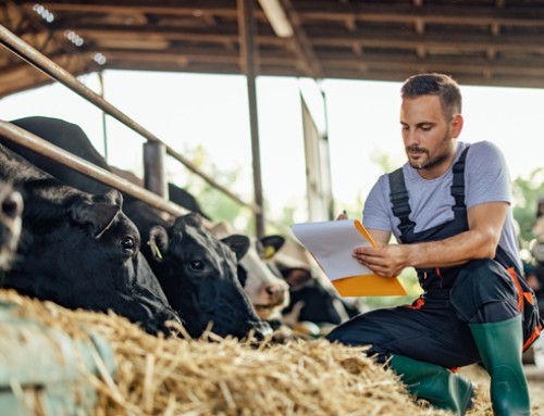 Nuove proposte di aggiornamento per gli operatori di F.A. e addetti al settore riproduzione bovina