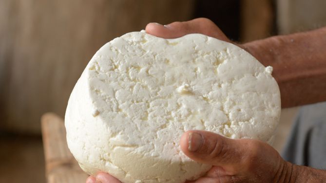 coach Disconnection Shrink Aspetti tecnologici della produzione di un formaggio a pasta fresca –  Ruminantia – Web Magazine del mondo dei Ruminanti