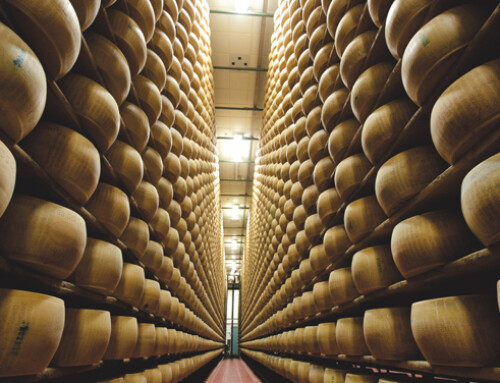 Parmigiano Reggiano, protagonista a Taste con il Progetto Premium “40 mesi”