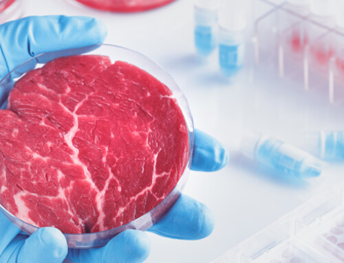 L’abolizione della carne coltivata è una vittoria per la zootecnia?