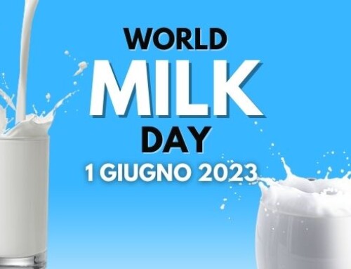 Gratitudine e rispetto per il latte: il World Milk Day 