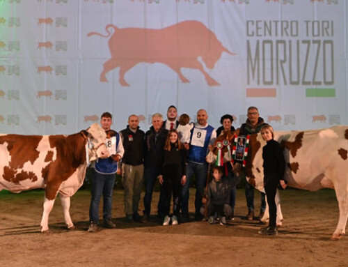 2° DUALBREEDING SHOW in Fiera a Cremona: ecco le vincitrici della razza Pezzata Rossa Italiana