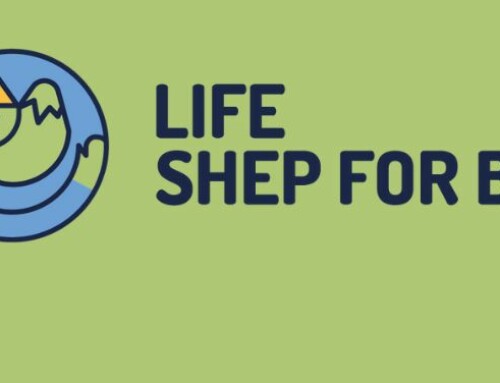 Life Shep for Bio – una scuola per diventare pastori