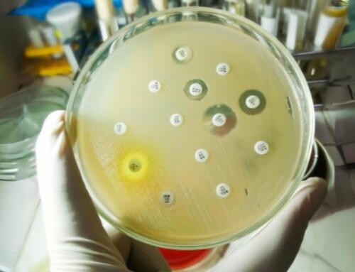Ridurre l’uso di antibiotici diminuisce i casi di antimicrobico-resistenza. Il report di EMA, ECDC ed EFSA