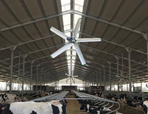 Monitoraggio continuo della temperatura corporea dei bovini: uno strumento per ottimizzare il raffrescamento estivo
