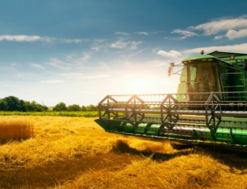 IRPEF e revisione macchine agricole: ecco come cambia il dl “Milleproroghe”