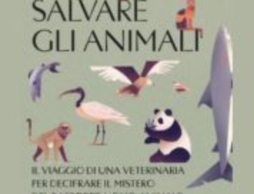Salvare gli animali: Il viaggio di una veterinaria per decifrare il mistero del rapporto uomo-animale