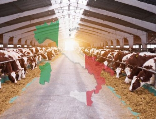 Come sta cambiando il numero di allevamenti di bovini per aree geografiche in Italia