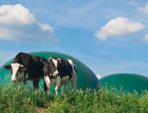 Biogas: Arera delibera sui prezzi minimi garantiti