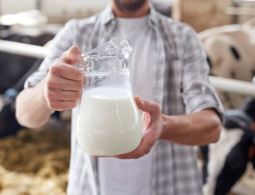 Scende il prezzo del latte spot in Italia