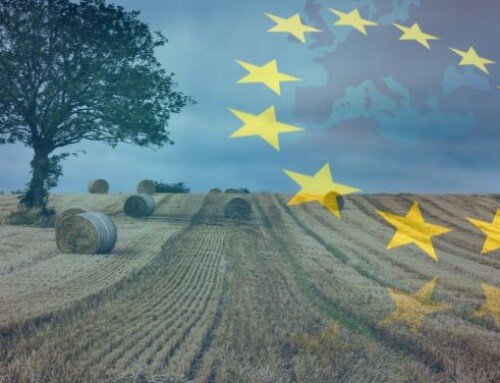 L’indagine sulla semplificazione fa luce sui problemi specifici che gli agricoltori devono affrontare in tutta l’UE
