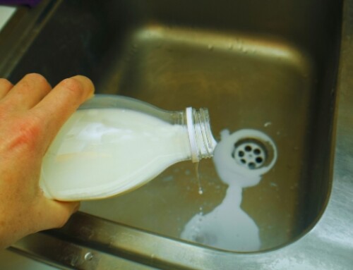 Sequestrate 200 tonnellate di latte e prodotti lattiero-caseari adulterati nelle Marche