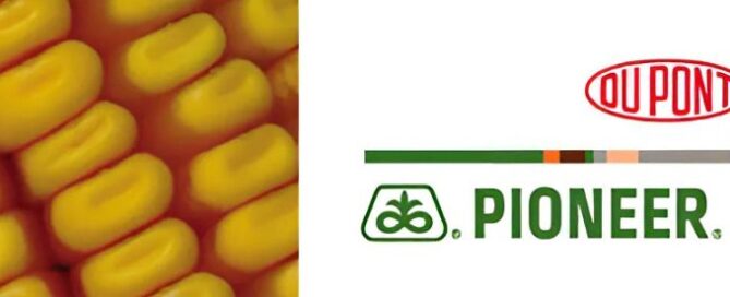 banner pagine aziende - pioneer