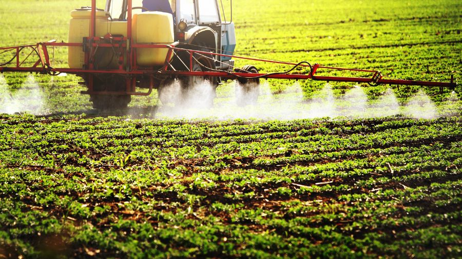 fitosanitari – campo – agricoltura fitosanitari - campo - agricoltura