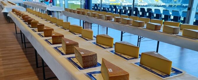 concorso caseario - formaggi