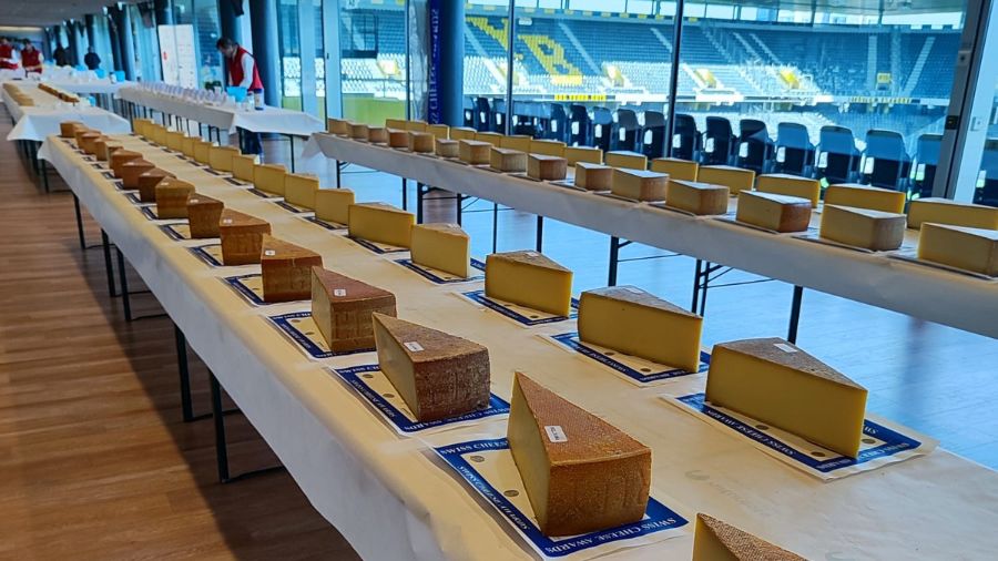 concorso caseario – formaggi concorso caseario - formaggi