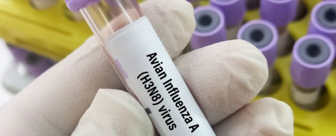 influenza aviaria - laboratorio
