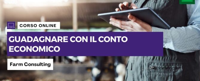 copertina corso conto economico