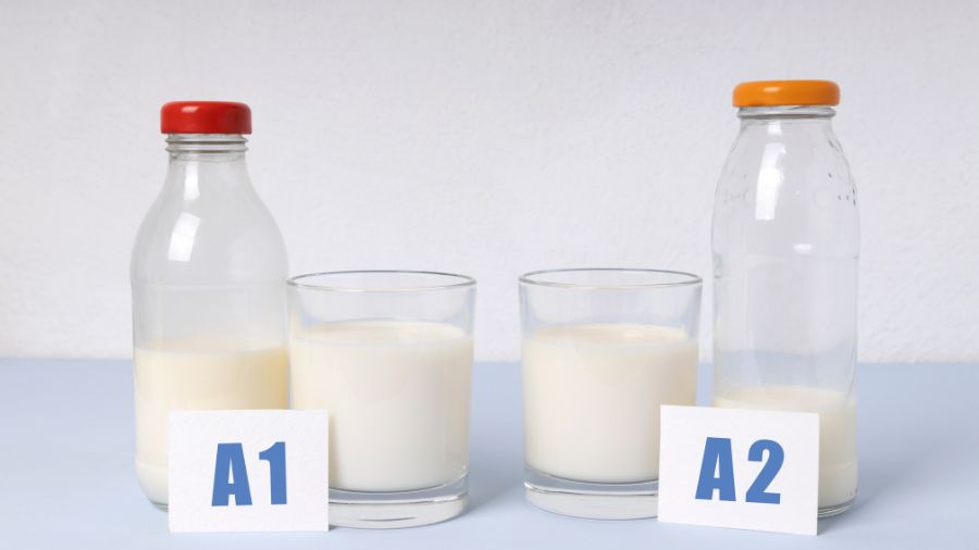 latte A2 – A1 latte A2 - A1
