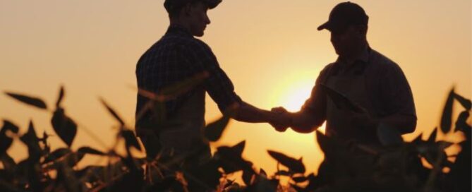 agricoltore-campo-tramonto