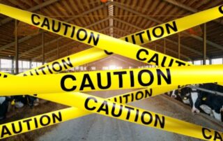 stalla-nastro-caution