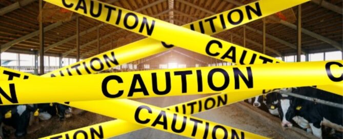 stalla-nastro-caution
