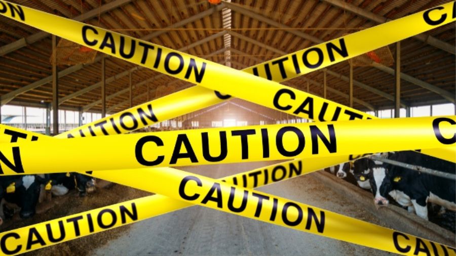 stalla-nastro-caution stalla-nastro-caution