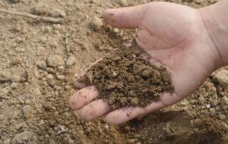 mano-terra-fertilizzanti