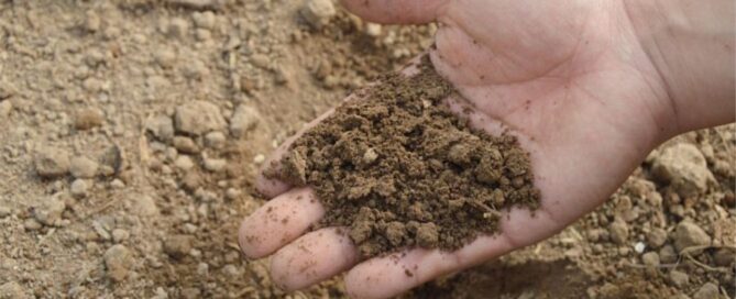 mano-terra-fertilizzanti