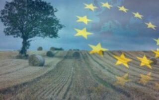 UE-campi