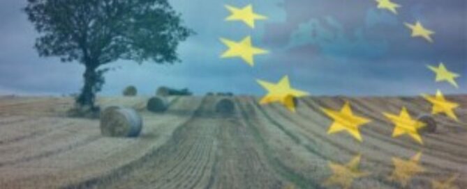 UE-campi