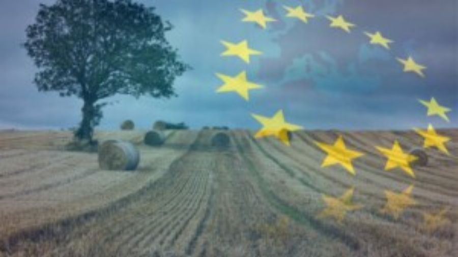 UE-campi