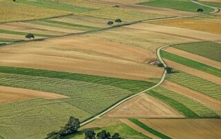 campi-coltivazioni-panorama
